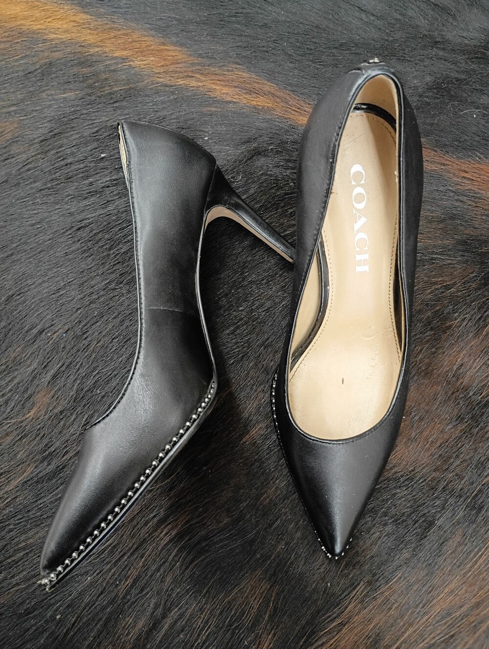 Coach Black Leather Pointed Toe Stiletto Pumps with Studded Edge